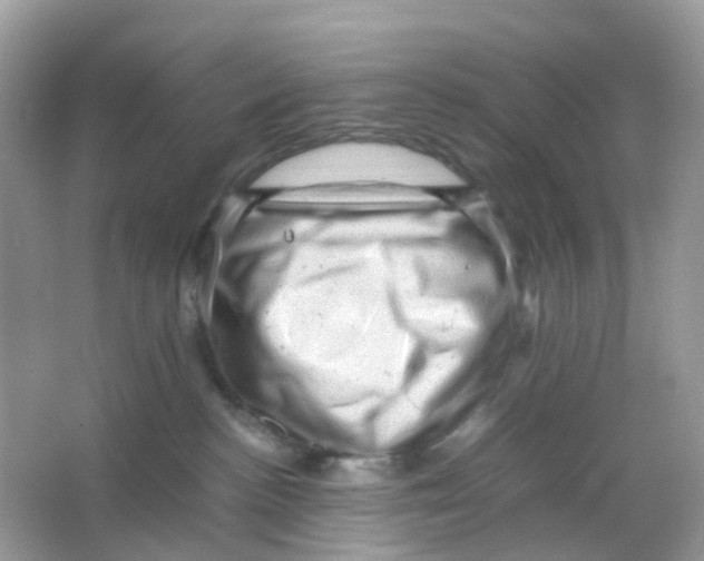 X0000065980188200603241949