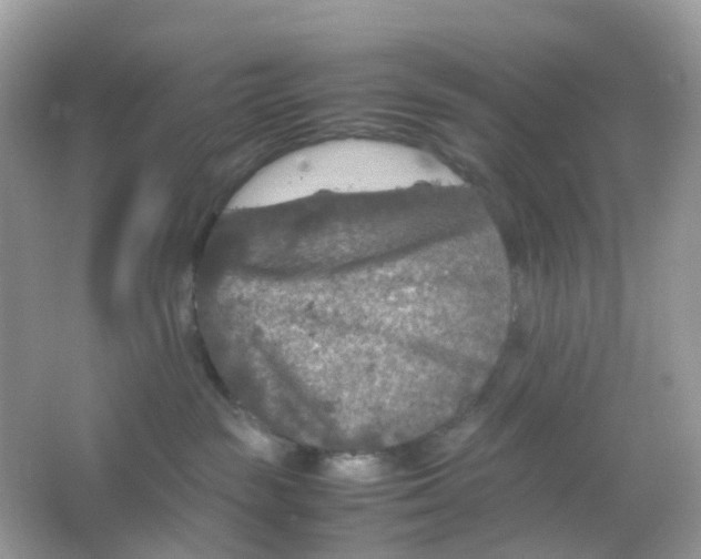 X0000065980189200603241949