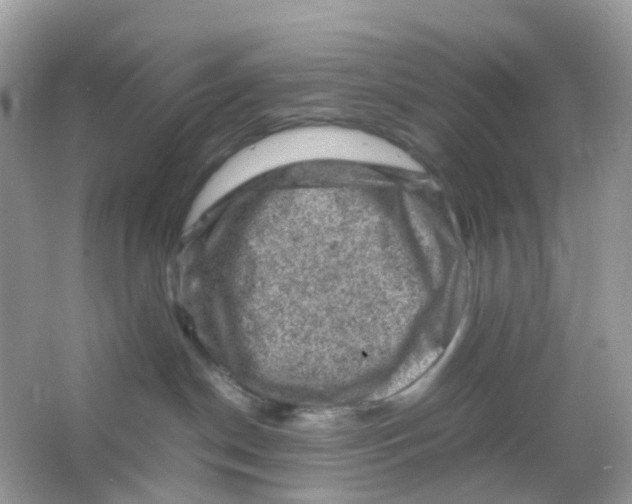 X0000065980190200603241949