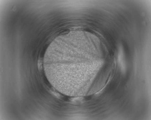 X0000065980191200603241949