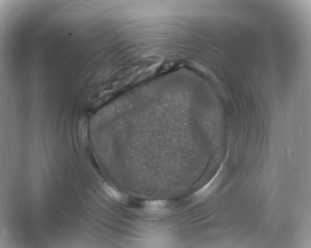 X0000065980192200603241949