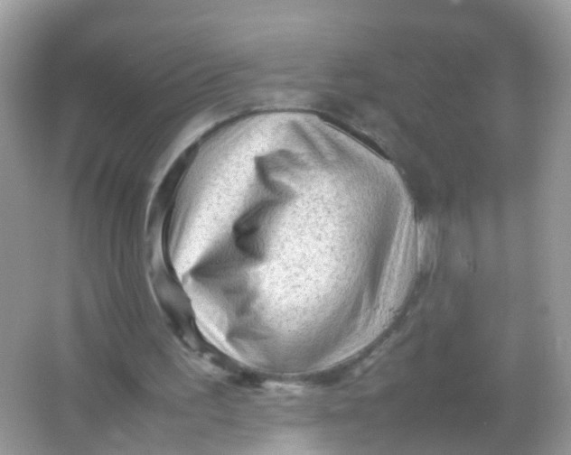 X0000065980195200603241948