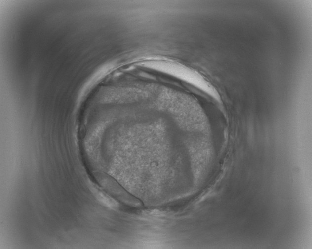 X0000065980197200603241948