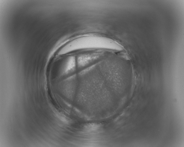 X0000065980198200603241948