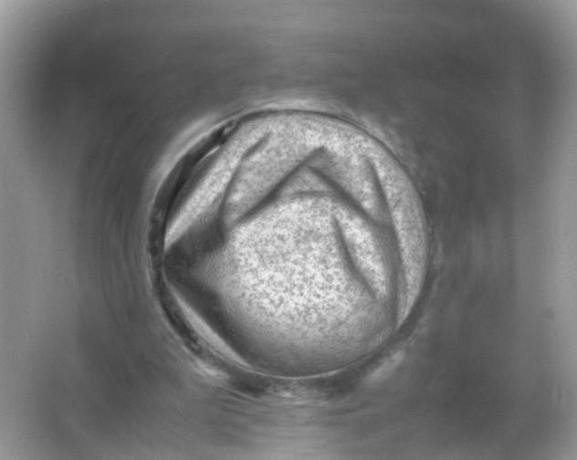 X0000065980199200603241948