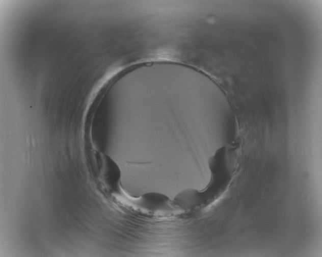 X0000065980200200603241948