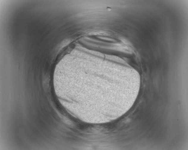 X0000065980201200603241948