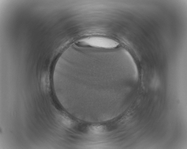 X0000065980202200603241948