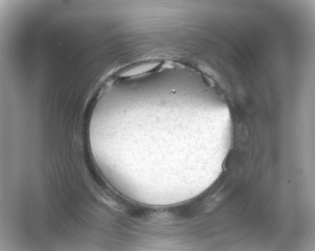 X0000065980203200603241948