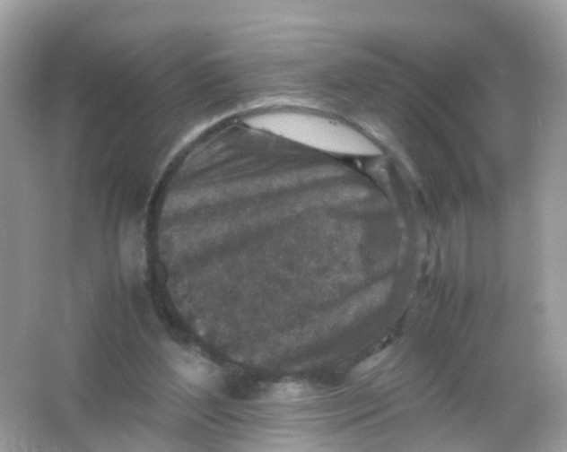 X0000065980204200603241948