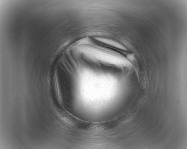 X0000065980207200603241948