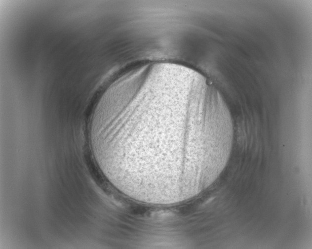 X0000065980208200603241948