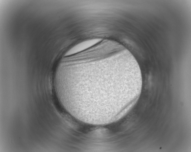 X0000065980210200603241948