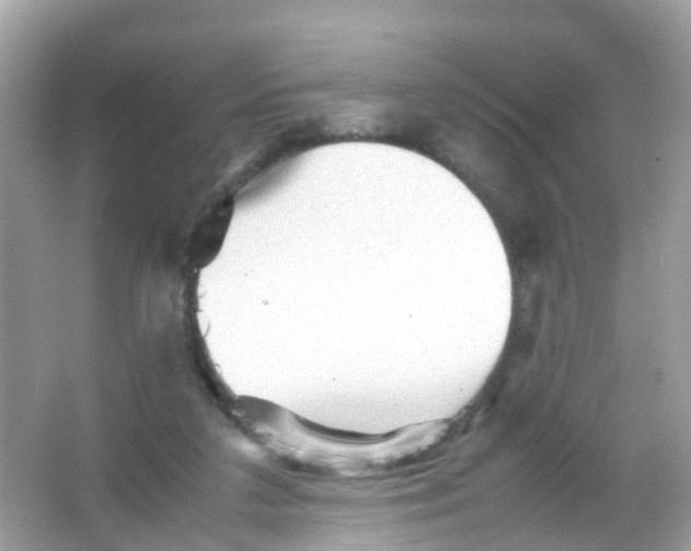 X0000065980211200603241948