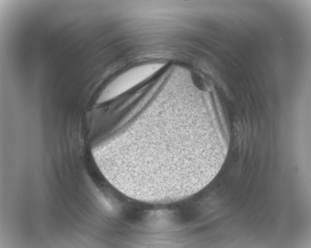 X0000065980212200603241948