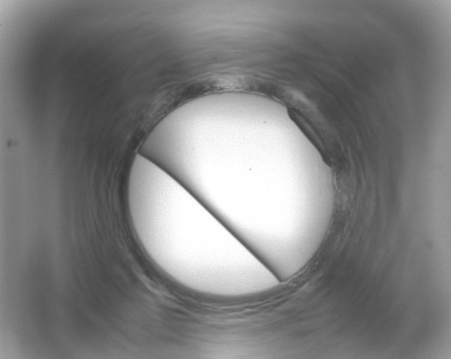 X0000065980213200603241948