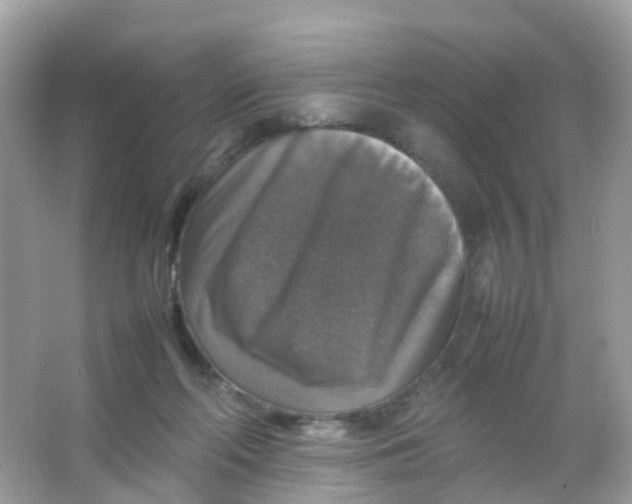 X0000065980214200603241948