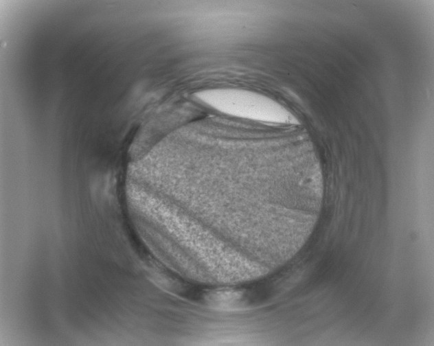 X0000065980217200603241948