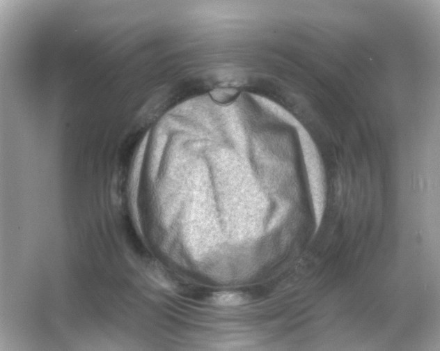 X0000065980218200603241948