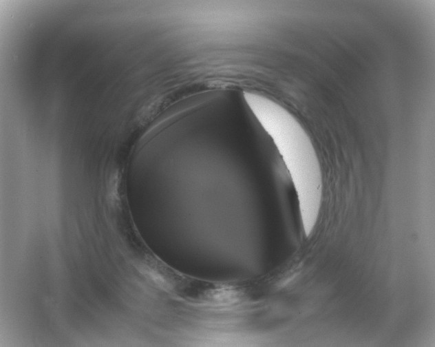 X0000065980219200603241948