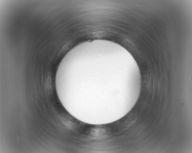 X0000065980220200603241948