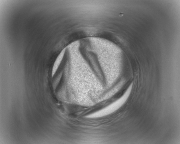 X0000065980221200603241948