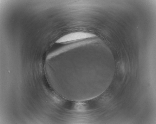 X0000065980222200603241948