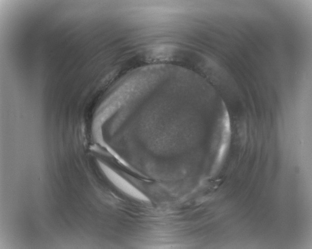 X0000065980224200603241948