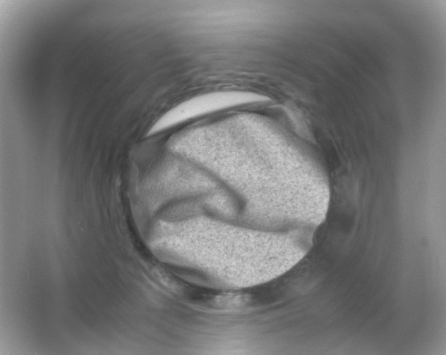 X0000065980225200603241948