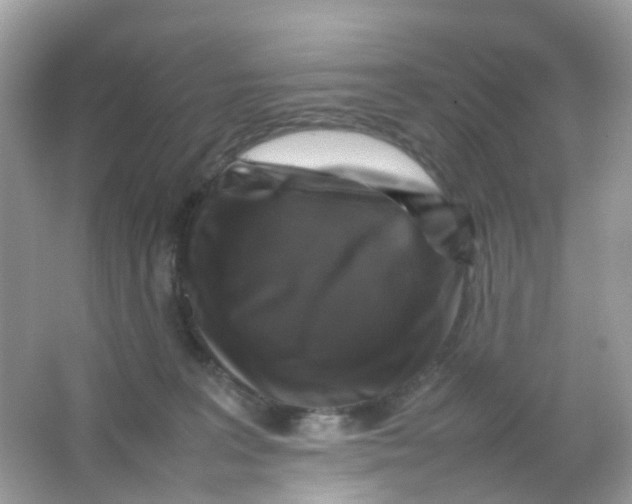 X0000065980227200603241948