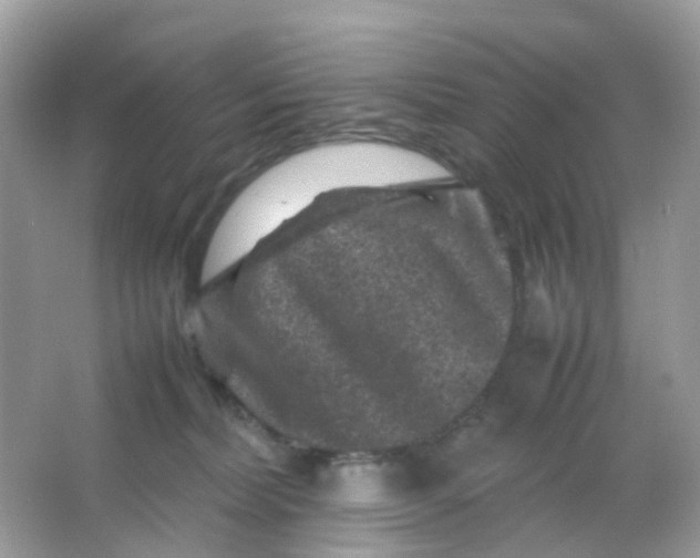 X0000065980228200603241948