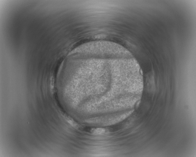 X0000065980230200603241948