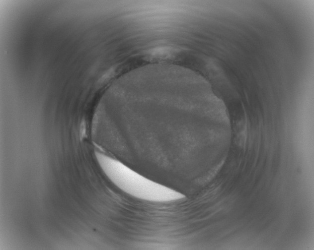 X0000065980232200603241947