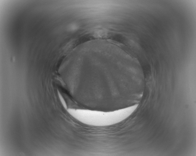 X0000065980233200603241947