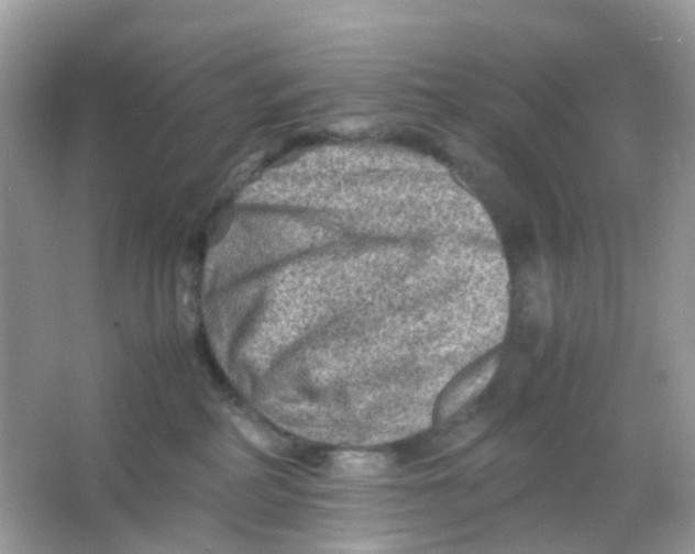 X0000065980234200603241947