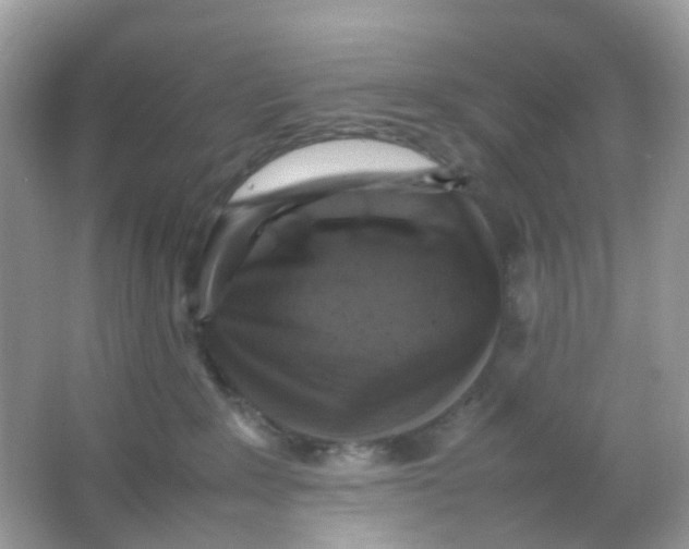 X0000065980235200603241947