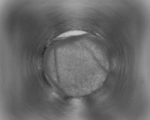 X0000065980236200603241947