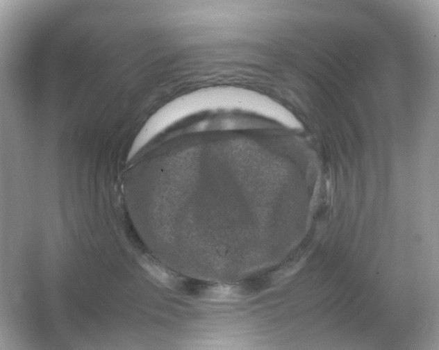 X0000065980237200603241947