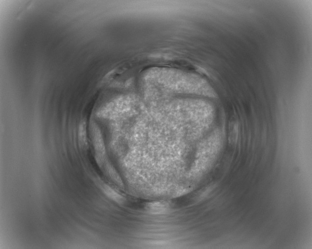 X0000065980238200603241947