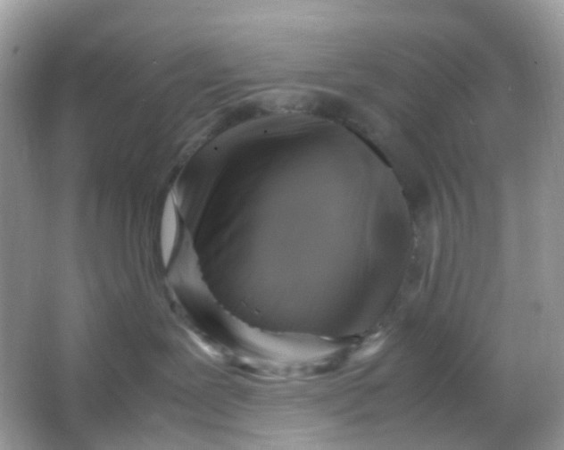 X0000065980239200603241947