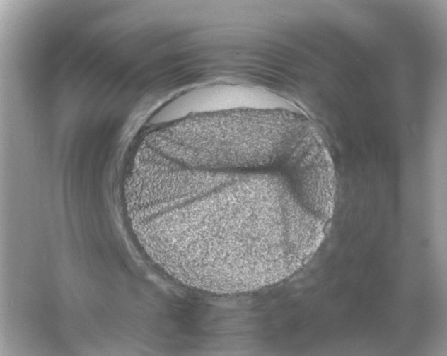 X0000065980241200603241947