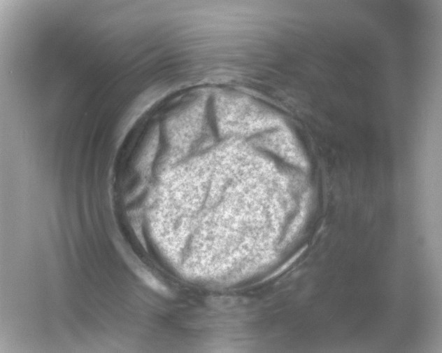 X0000065980242200603241947