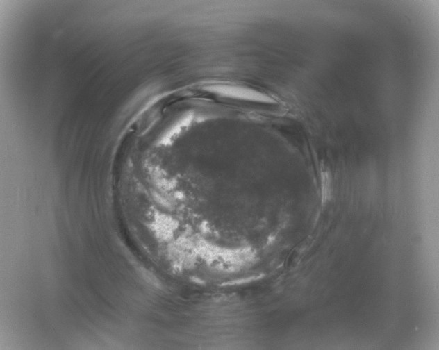 X0000065980243200603241947