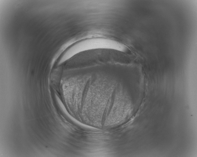 X0000065980244200603241947