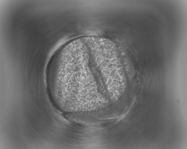 X0000065980246200603241947