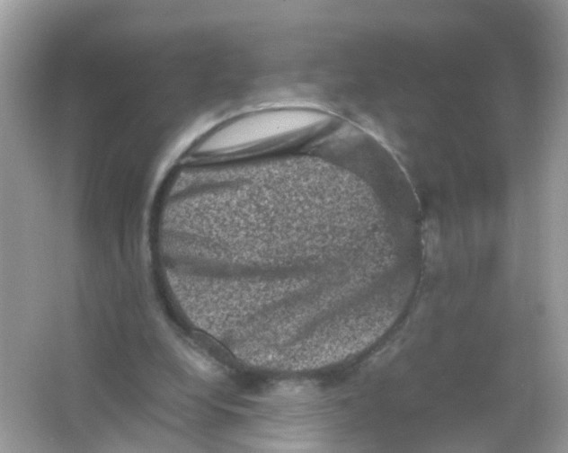 X0000065980248200603241947