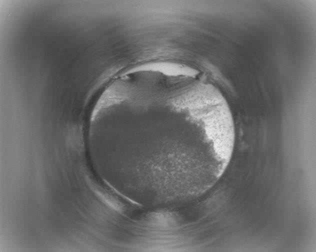 X0000065980250200603241947