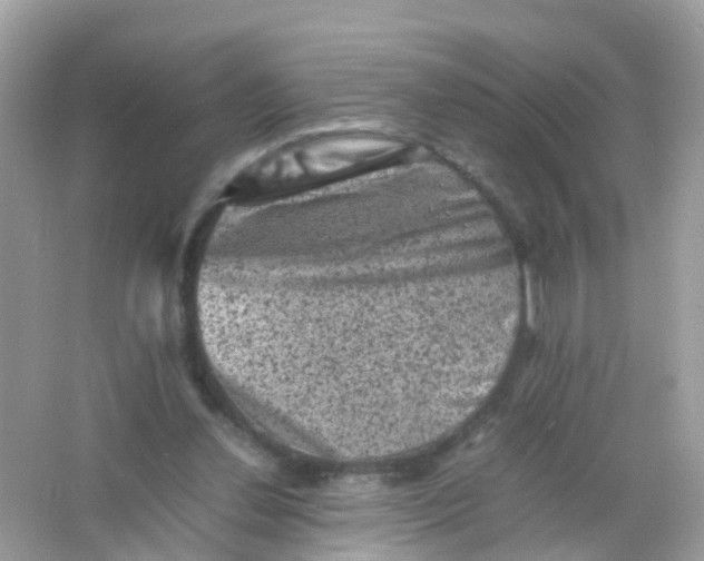 X0000065980252200603241947