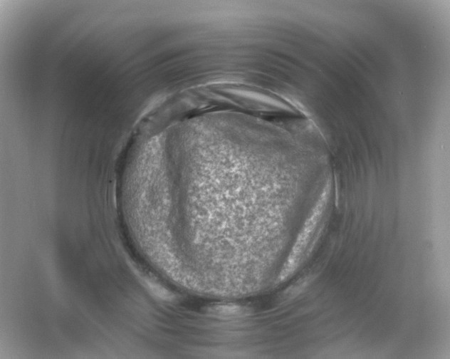 X0000065980253200603241947