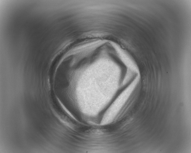 X0000065980254200603241947